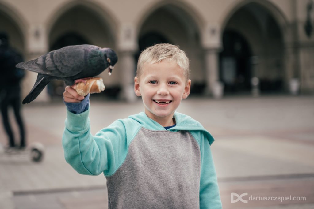 boy feeding a pigeon during a krakow family photoshoot